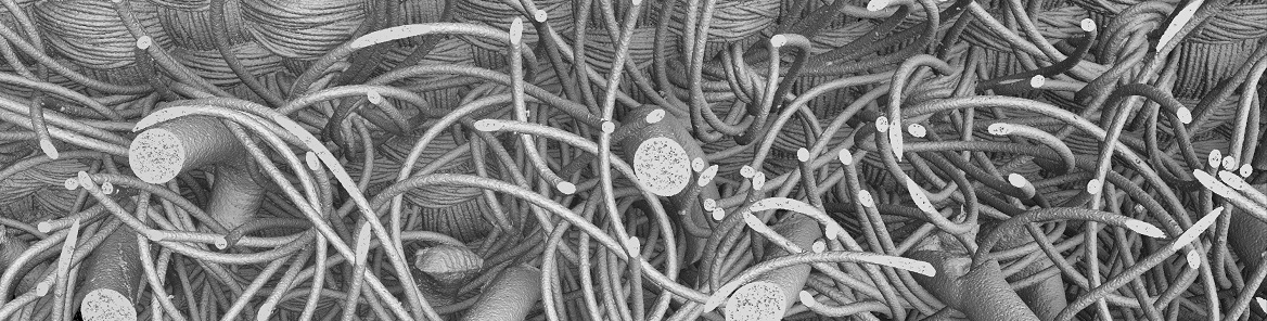 Klettverschluss 3D 01